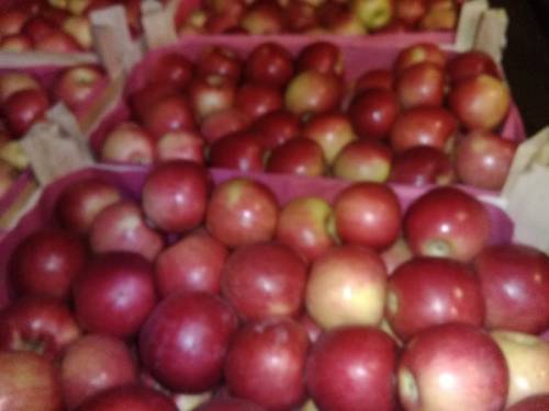 Яблоки Молдавские с доставкой