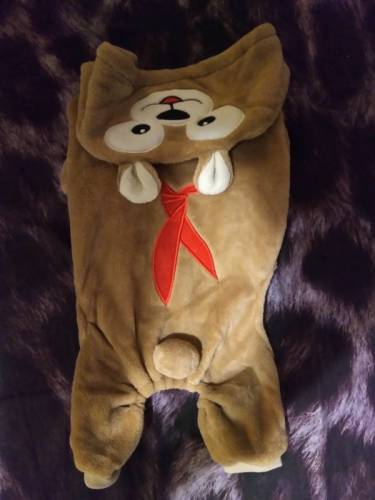 Продам недорого костюм для собаки.йорки, чихуахуа.длина по спинке 35см.новый.