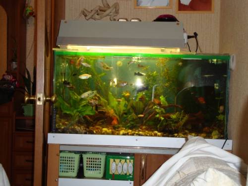 продам аквариум на 170 литров вместе со светильником.