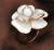 Гарнитур: серьги, кольцо, подвеска (кулон) на цепочке в стиле камелий Шанель