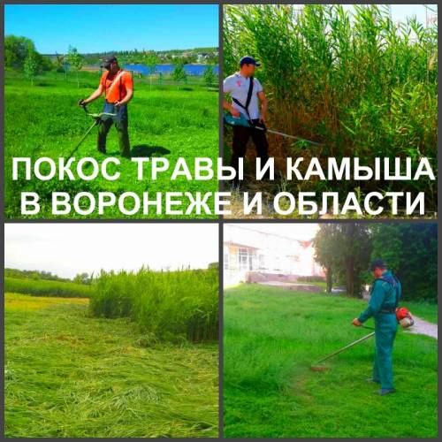 Покос травы. Мы косим траву в Воронеже.
