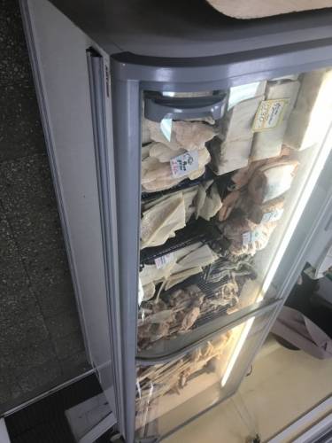 Продам витрину- холодильник 