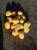 Семенной картофель ранних сортов ОптоМ - Склад 