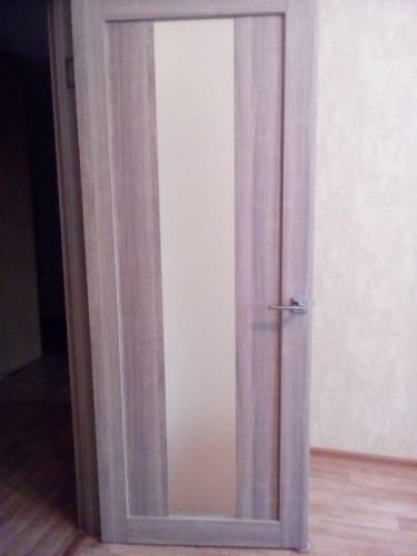 Межкомнатное дверное полотно и обналичка, отделка натуральный шпон