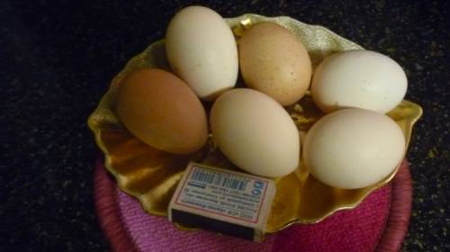 Домашнее свежее  яйцо