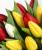 Продам тюльпаны к 8 марта
