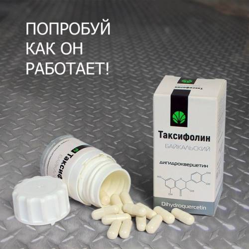 Таксифолин (Дигидрокверцетин) Компания “Сибирский Кедр“