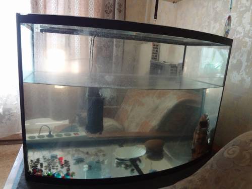 аквариум-панорама на 180 литров