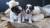 резерв:продаются 2 щенка(мальчики) д.р. 09.05.2017г., породы Бивер.