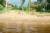 Аренда коттеджа с баней у озера в “Силино“