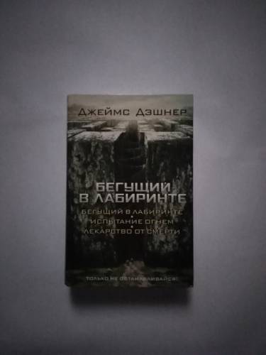 Книга Бегущий в лабиринте