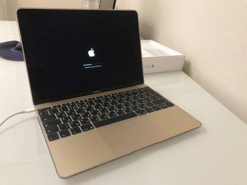 MacBook 12-inch 2016 8gb/256gb с мышкой
