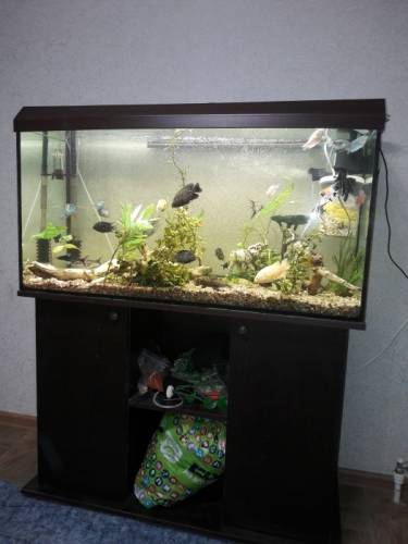 аквариум 200 литров