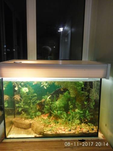 аквариум 70 литров