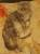 Кот-британец приглашает кошечек на вязку