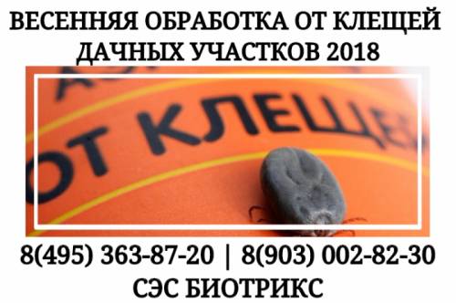 Обработка дачных участков от энцефалитных клещей в Заокском районе,в Туле