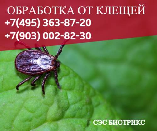 Акарицыдная,против клещей обработка садовых участков Обнинск,Боровск,Балабаново