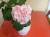 Продаю молодые цветущие сортовые пеларгонии.
