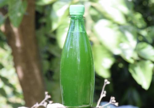Хлорелла (напиток живой микро-водоросли)