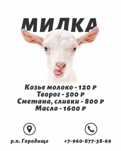 Продаю козье молоко, творог, сметану, масло, сыр