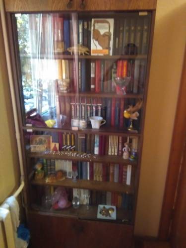 Шкаф вместе с книгами