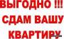 Что выгодно сдавать в аренду