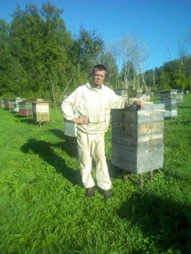 Продам пчелосемьи на высодку
