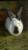 Кролики породы Ризен.,Французкий баран,Калифорнийцы 