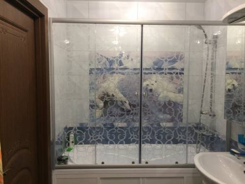 шторка для ванной стекло
