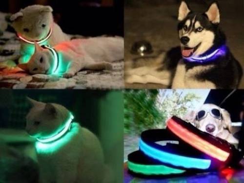 Новые светящиеся ошейники для кошек и собак