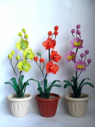 орхидеи из бисера 