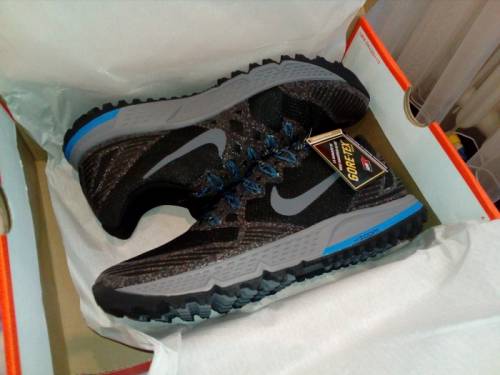 Nike air zoom wildhorse 3 gtx