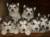 Продам щенков Аляскинского маламута в Великом Новгороде