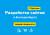 Создание сайтов в Екатеринбурге