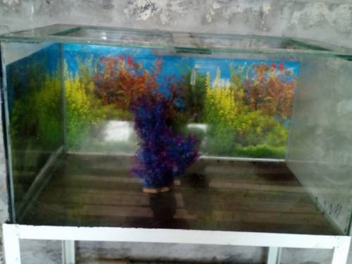 Продам аквариум 500л для магазина