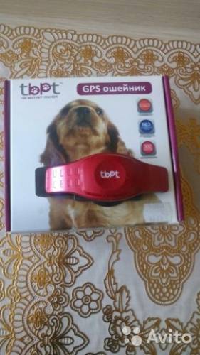 GPS-ошейник для собак