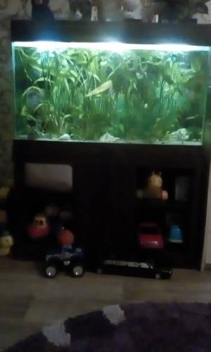 Продам аквариум на тумбе полностью со всем .