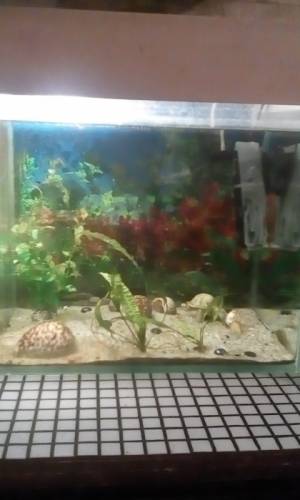 Продам аквариум на 35 лит