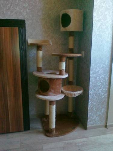 Апартаменты для кошки