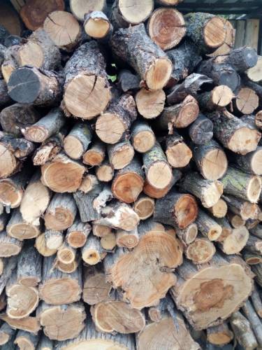 Продам дрова разных пород дерева
