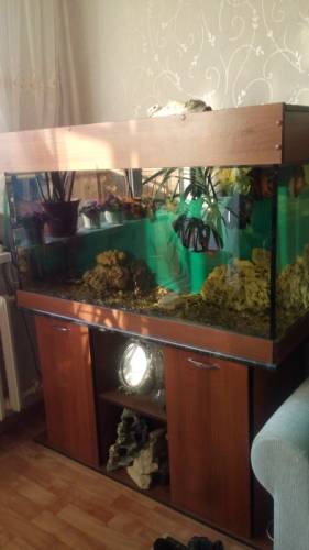 Аквариум 360 литров с рыбами и принадлежностями
