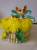 Интерьерная цветочная композиция “Одуванчиковый кот“.