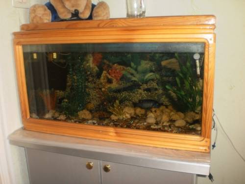 Продам деревянный аквариум