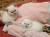 продажа котят шотландской плюшевой породы окраса блю-поинт