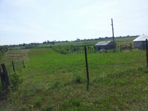 Продаю земельный участок в деревне Первомайское в Цивильском районе