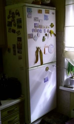 Холодильник двухкамерный Атлант МХМ 161