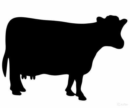 Корова дойная - торг