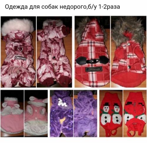 Продам одежду для собак